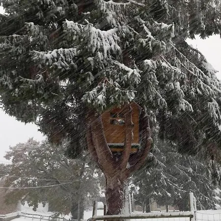 Lejlighed Charmante Maison Renovee Avec Terrasse Privee Et Jardin - Fr-1-497-159 La Chapelle-Moche