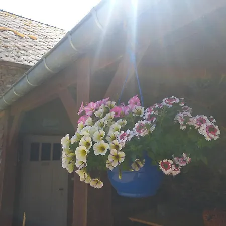 Charmante Maison Renovee Avec Terrasse Privee Et Jardin - Fr-1-497-159 Lejlighed La Chapelle-Moche