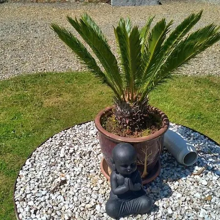 Charmante Maison Renovee Avec Terrasse Privee Et Jardin - Fr-1-497-159 *