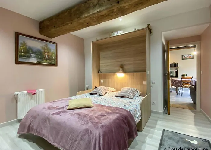 Charmante Maison Renovee Avec Terrasse Privee Et Jardin - Fr-1-497-159 *