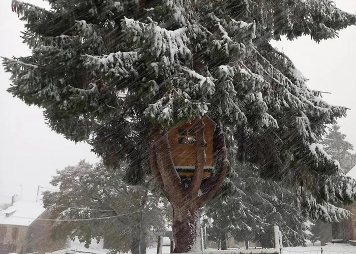 Lägenhet Charmante Maison Renovee Avec Terrasse Privee Et Jardin - Fr-1-497-159 La Chapelle-Moche