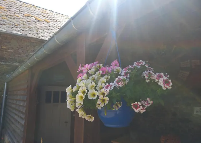 Charmante Maison Renovee Avec Terrasse Privee Et Jardin - Fr-1-497-159 Lägenhet La Chapelle-Moche