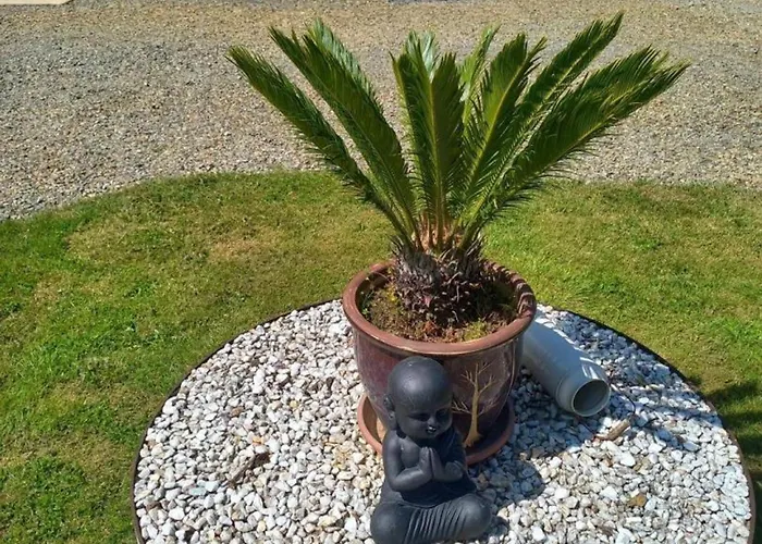 Charmante Maison Renovee Avec Terrasse Privee Et Jardin - Fr-1-497-159 *